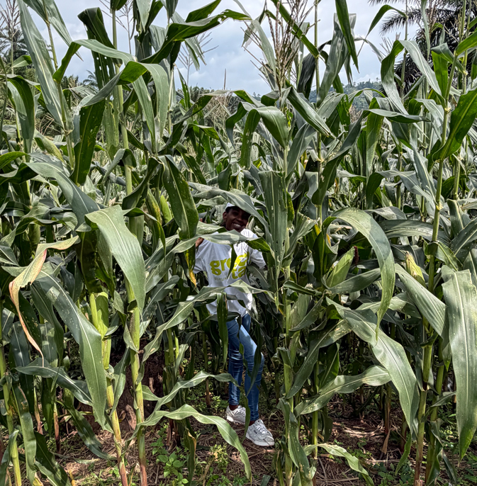 agriculture-GreenTapBurundi